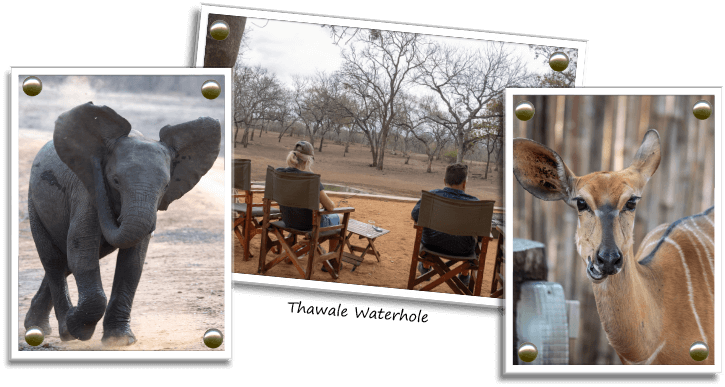 Thawale Camp Majete Game Reserve